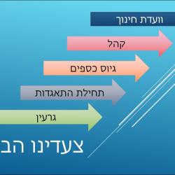 צעדינו הבאים